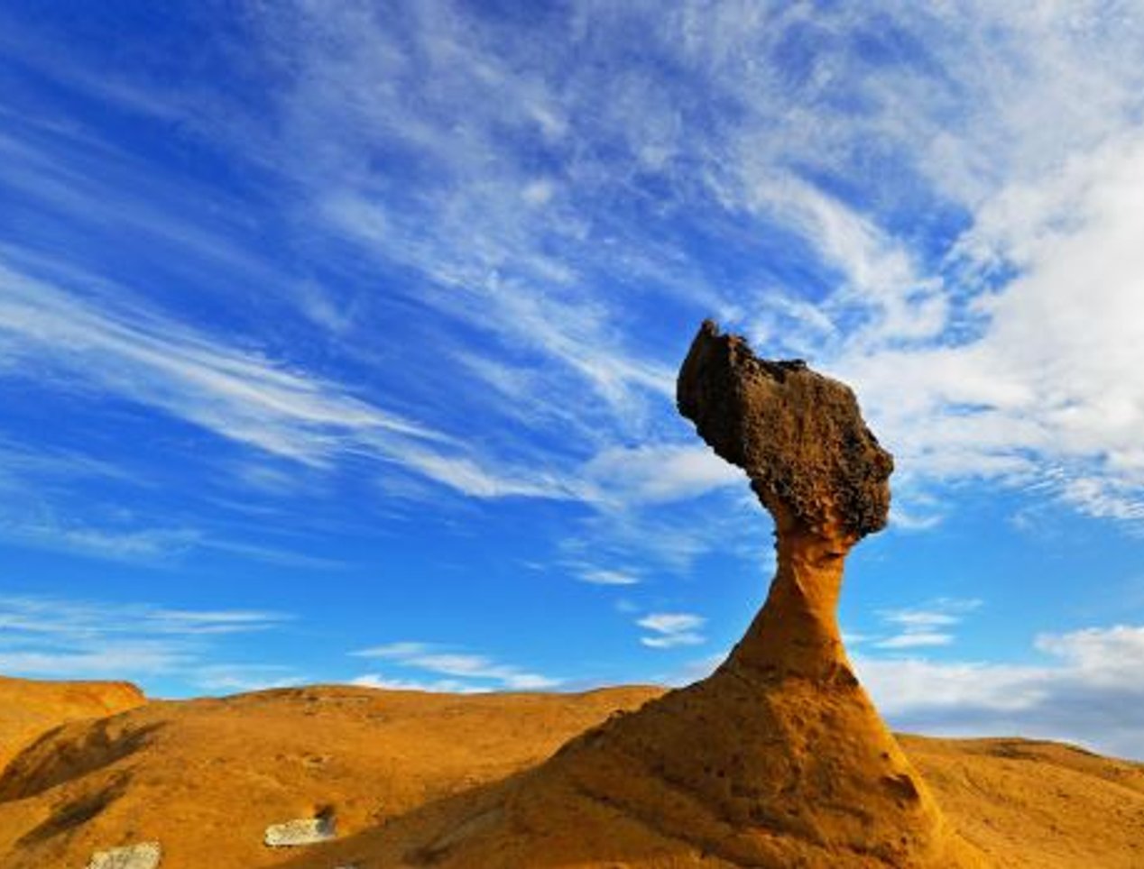 대만 예류지질공원 대만 예류지질공원